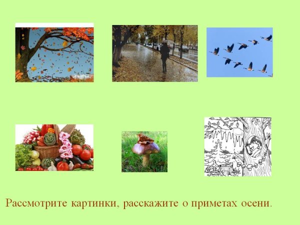 Приметы осени для дошкольников в картинках