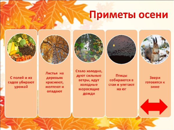 Осенние приметы