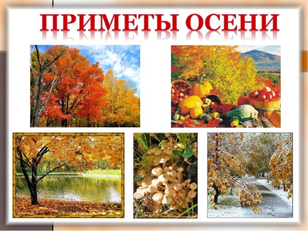 Народные приметы осенью птицы летят низко