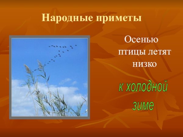 Признаки осени для дошкольников