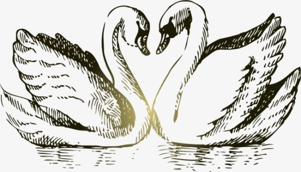 Лебеди для выжигания