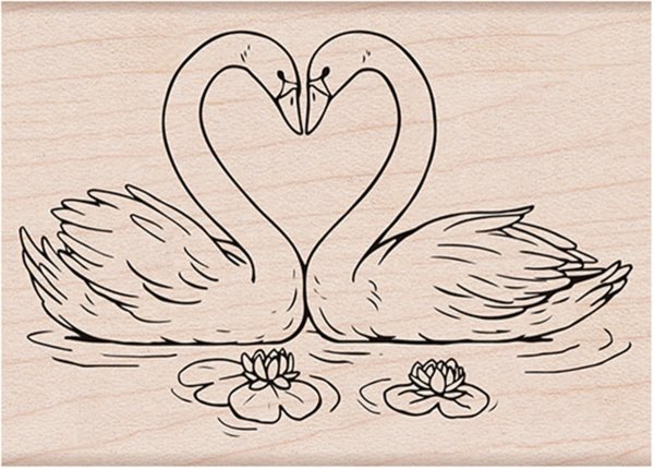 Выжигание по дереву лебеди