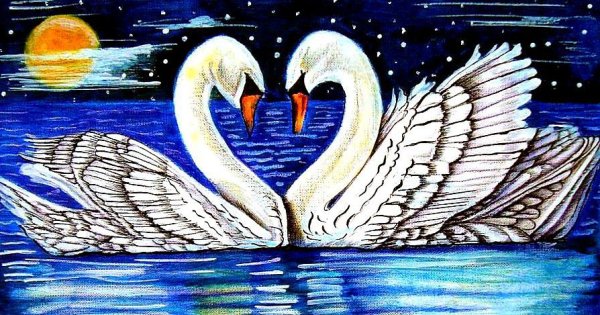 Лебедь рисунок