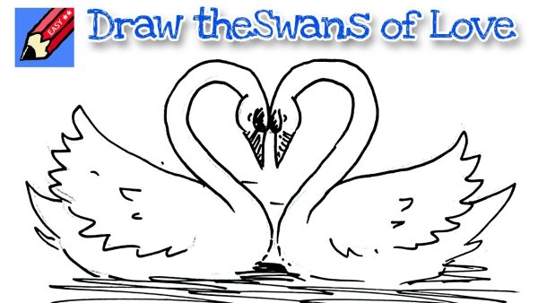 Рисунок лебедей в виде сердца