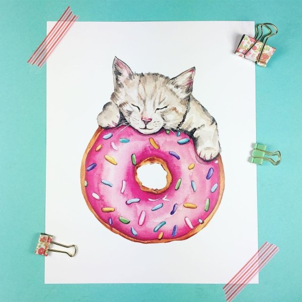 Котик в пончике