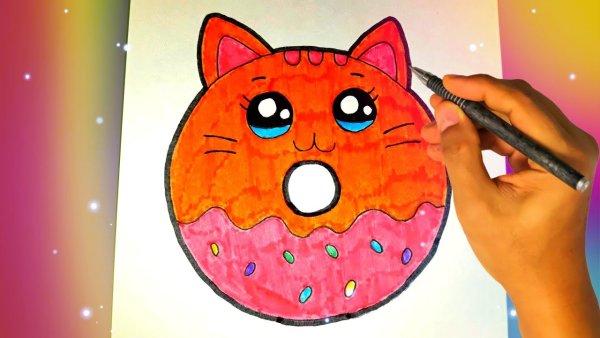 Котик в пончике