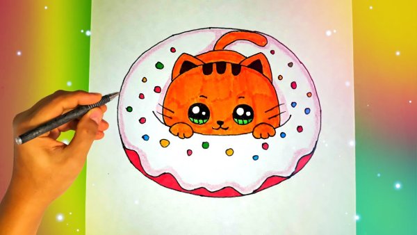 Котик в пончике рисунок