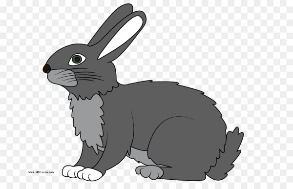 Заяц серый для детей