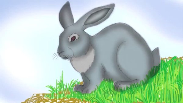 Заяц рисунок