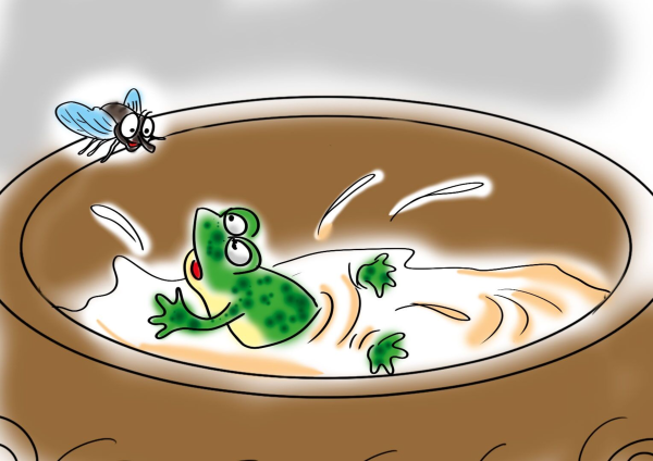 Лягушка в молоке