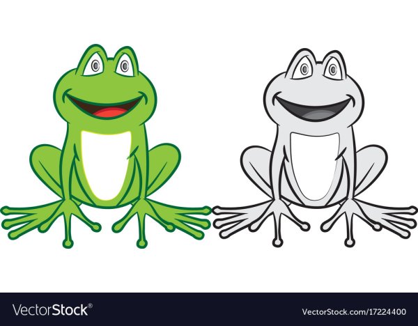 Жаба раскраска цветная