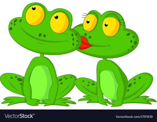 Лягушачий поцелуй