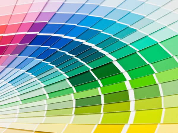 Цветовая гамма цветов