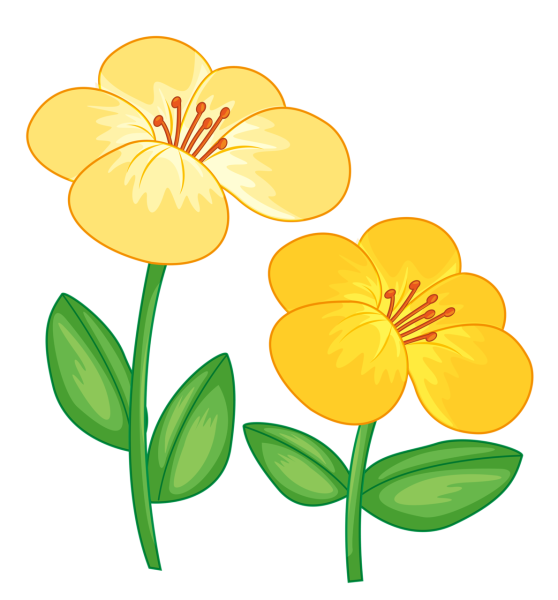 Нарисовать цветы