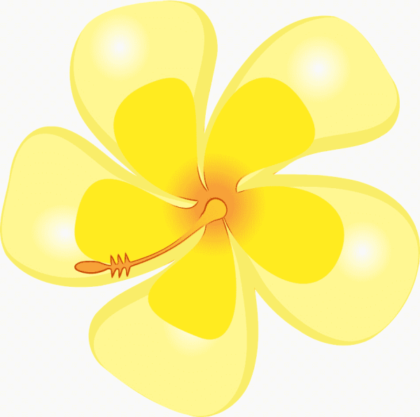 Цветы на прозрачном фоне