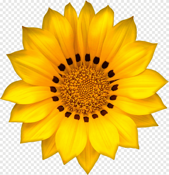 Желтый цветок для детей