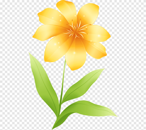 Желтые цветы на прозрачном фоне