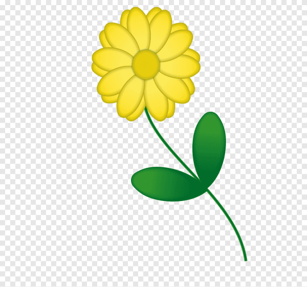 Стебель цветочка