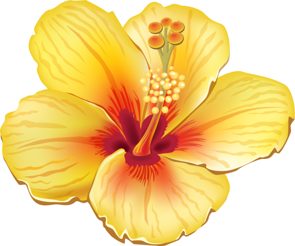 Тропические цветы