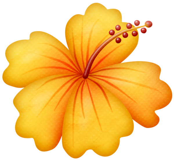 Гавайские цветы