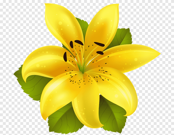 Красивые мультяшные цветы