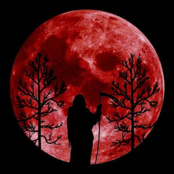 Красная Луна в лесу