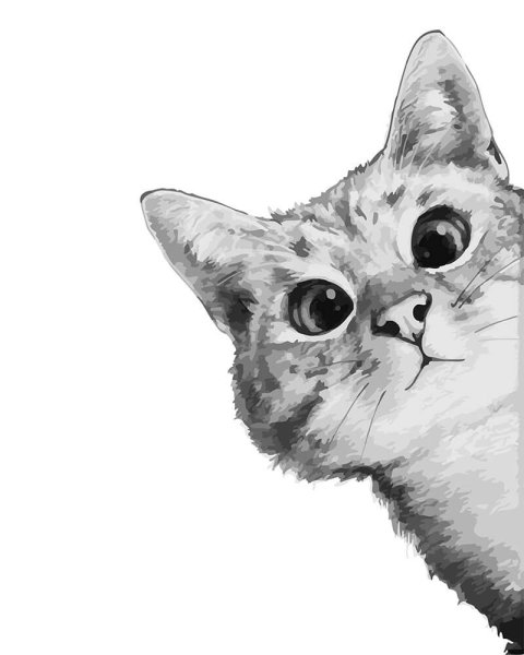 Кот выглядывает