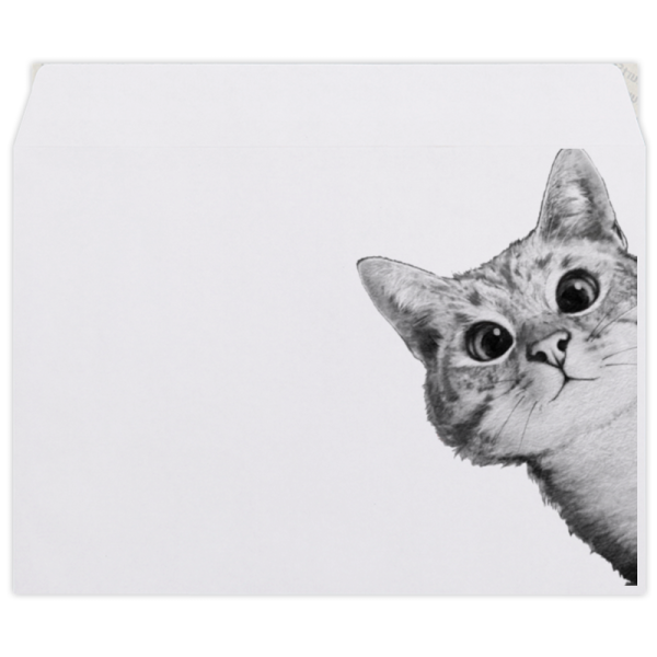 Кот выглядывает