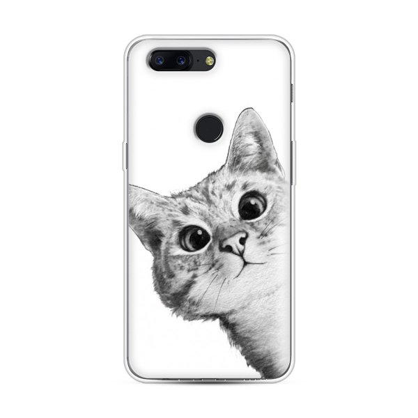 Кот выглядывает