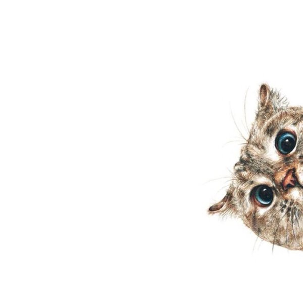 Опять жрешь