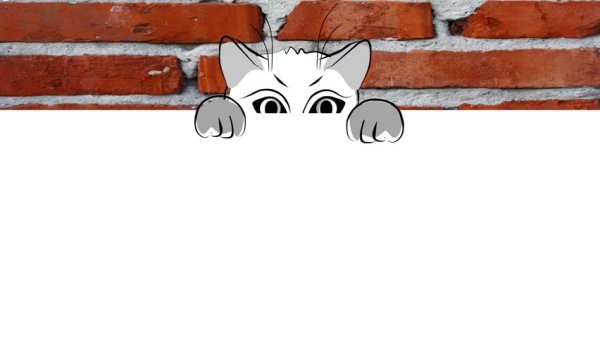 Выглядывает из изображения