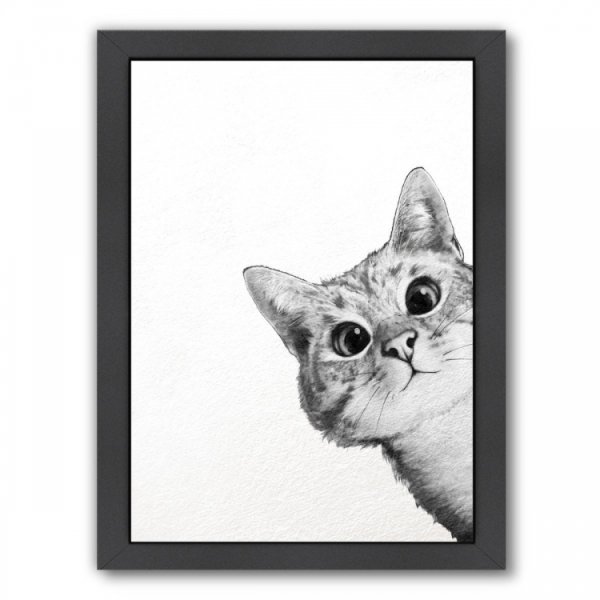 Кот выглядывает на белом фоне