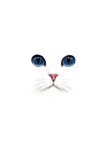 Глаза кота на белом фоне