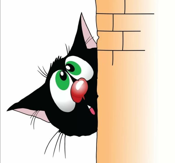 Кот осторожно выглядывает из-за угла