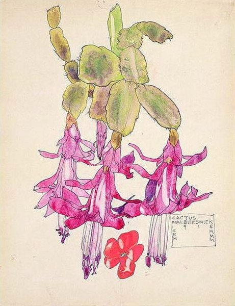 Гербарий Чарльза Макинтоша