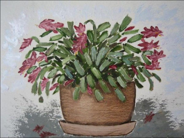 Barbara Lennie декабрист