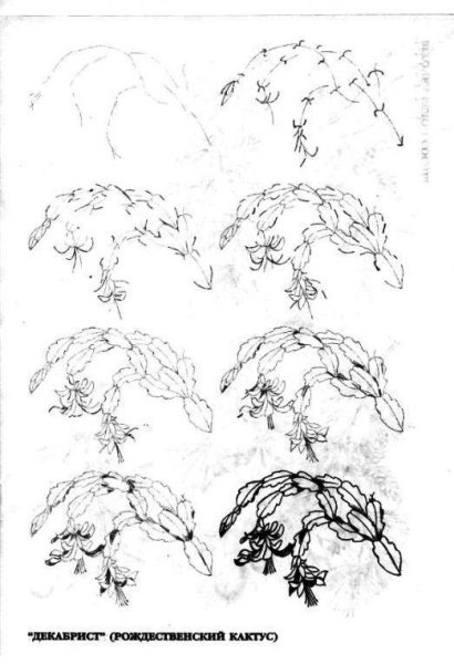 Рисуем 50 цветов и деревьев