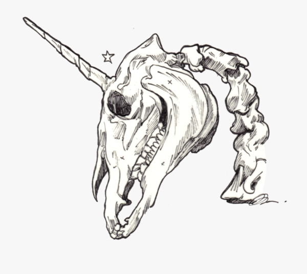 Череп лошади эскиз