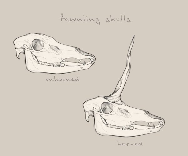 Череп лошади сбоку