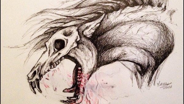 Череп животных анатомия