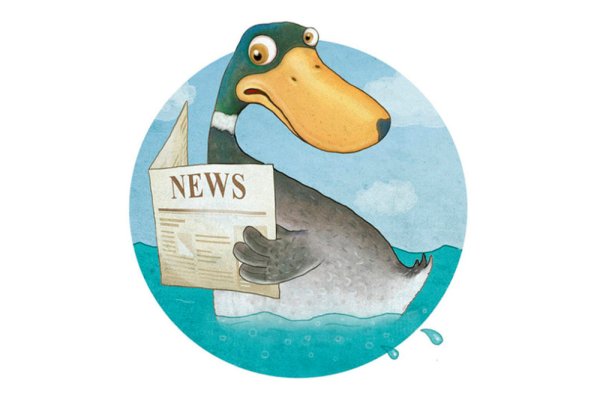 Газетная утка фразеологизм