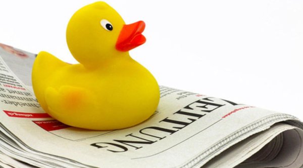 Журналистская утка