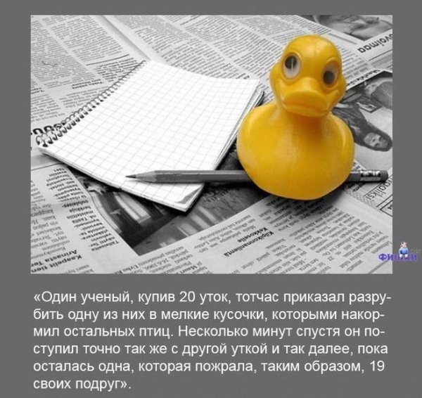 Креативный рисунок газетная утка