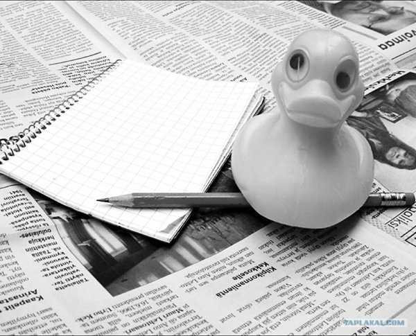 Газетная утка фразеологизм