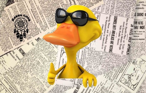 Газетная утка значение фразеологизма