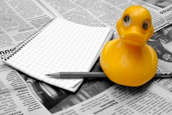 Газетная утка фразеологизм