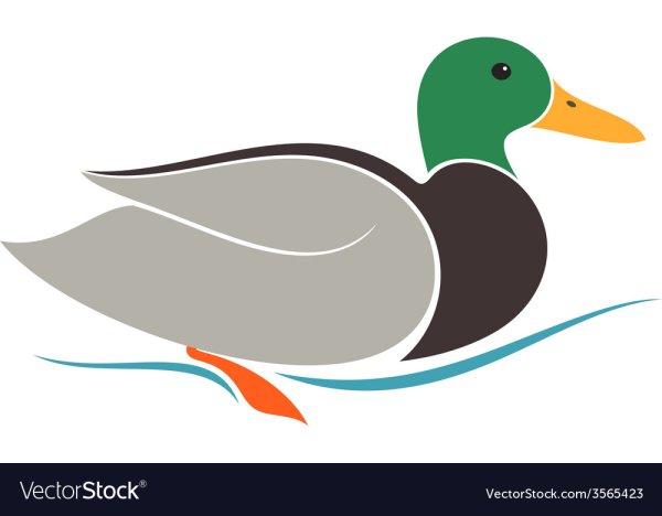 Газетная утка