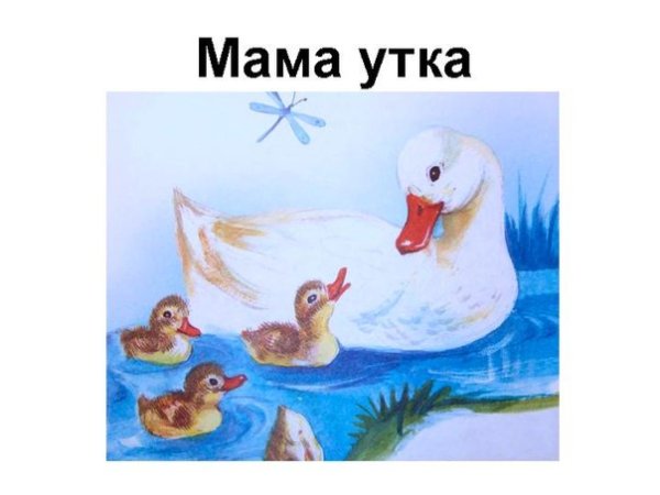 Газетная утка фразеологизм