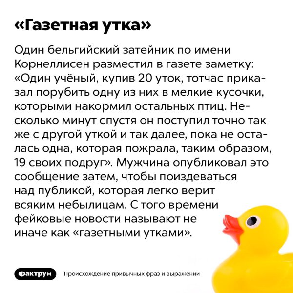 Утка за роялем