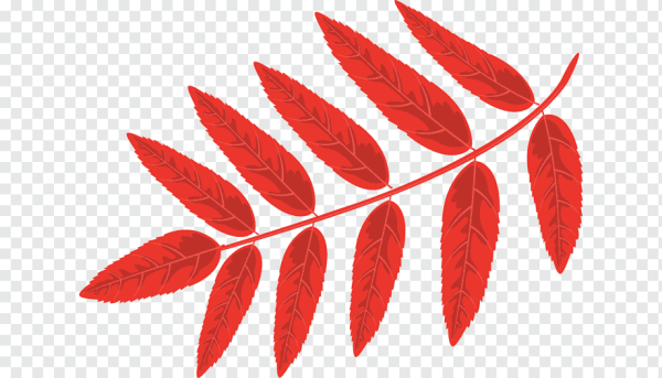 Листок рябины